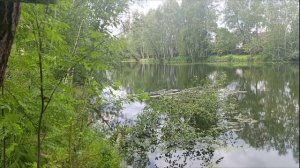 Цветочное утро