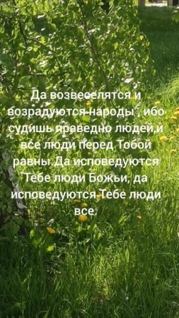 Господи,пошли на нас милость свою...🙏