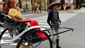 Токио нашими глазами. Наша первая поездка в Японию.