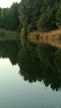 Видео с озера, тишина, красота #рыбалка #shorts #озеро #россия #подпишись #ставь лайк #топ