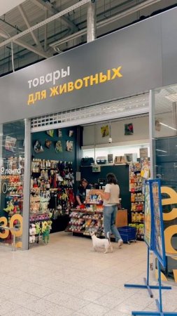 Участвуйте в благотворительном забеге с «Лентой» вместе с питомцем 🦮