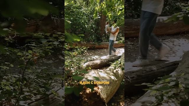 Бобр
