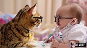Коты и Дети