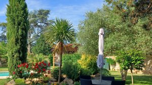 You're a tomato.  Victor Karassenko . Ты цы пы цы.  Помидоры. Поёт Виктор Карасенко