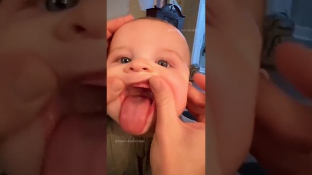 Животные приколы и не только