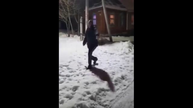 Самоволка