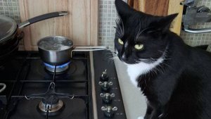 Вокалотерапия (музыка и текст А.Красненкер)