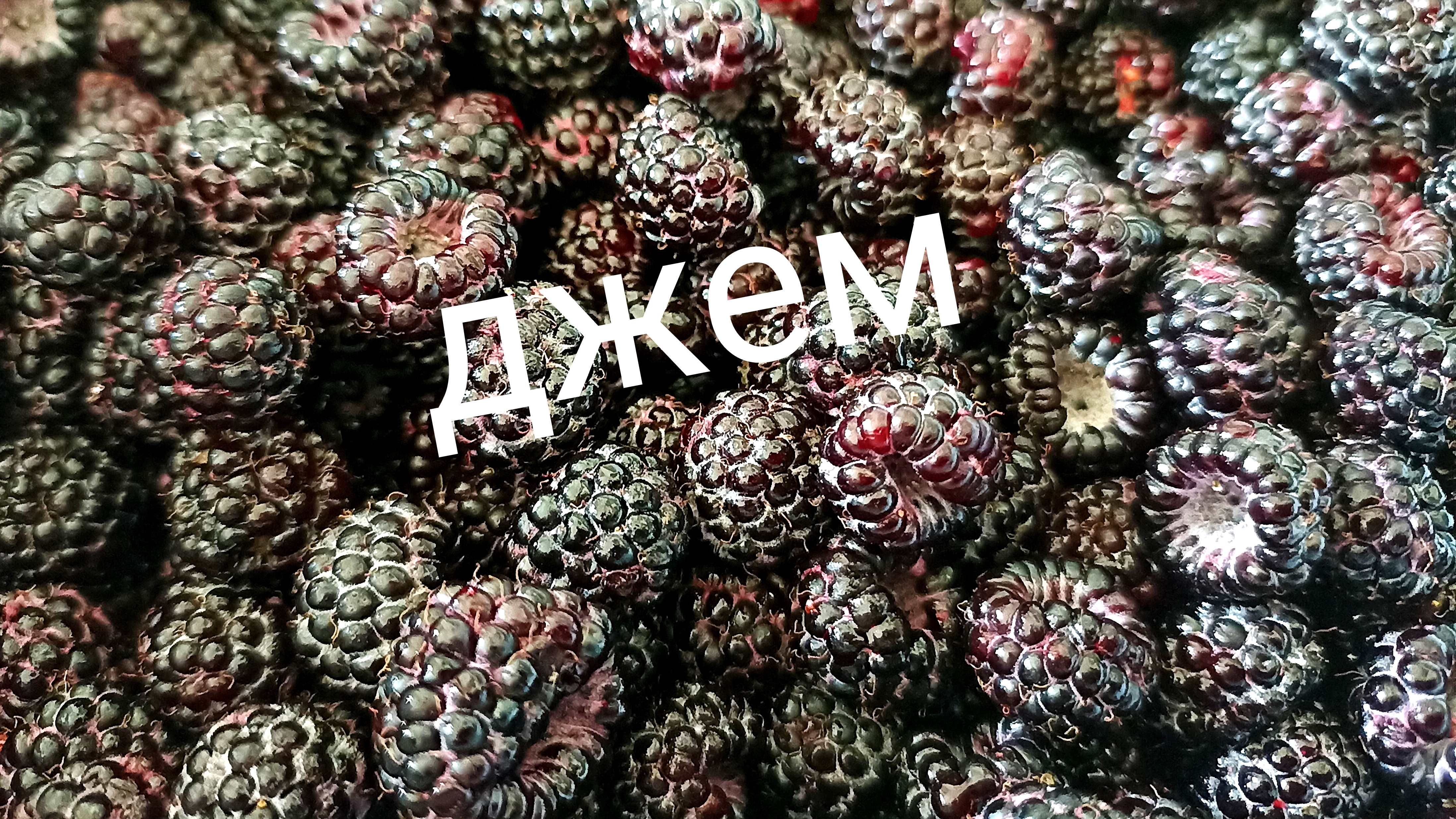 Джем из ежемалины смотреть онлайн