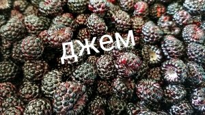 Джем из ежемалины