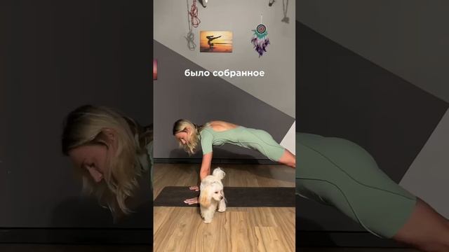 Как правильно подойти к стойке на голове