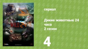 Дикие животные 24 часа 2 сезон 4 серия «Австралия — после муссона» (документальный сериал, 2015)