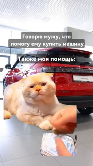 Лето — время дарить эмоции! Подарите жене CHERY Tiggo 4!

Солнце, свобода и новый CHERY Tiggo 4 — ид