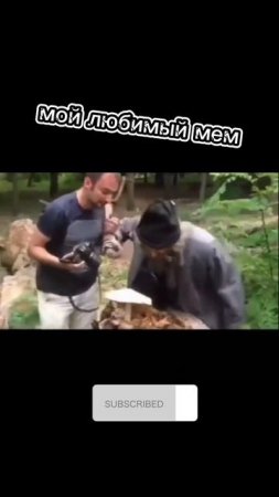 мой любимый мем