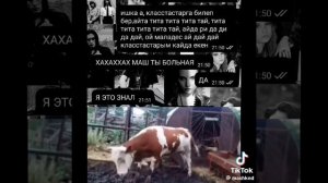 титатитатитатай