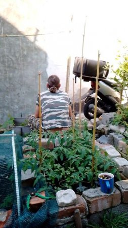 как вам? стоит такого труда результат?