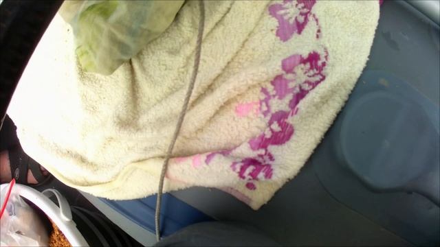 Поимка и вываживание крупного леща на банку. смотреть онлайн