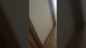 распаковка маленького чуда