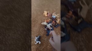 обзор моих животных 🐾 😊