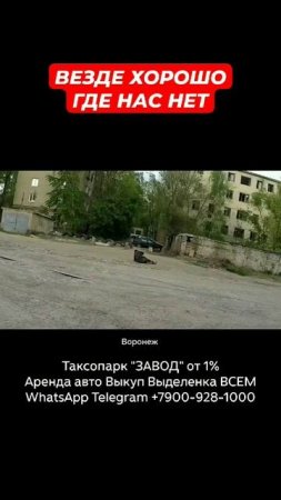 Везде хорошо, где нас нет | Осторожно! Таксично! #такси #доход #заработок