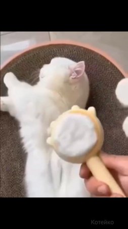 Вот из чего делают ватные диски! 🙀