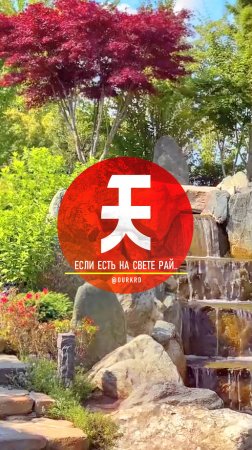 Путешествие в Японию, не покидая Краснодар.. ⛩🧡