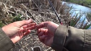 Моя рыбалка