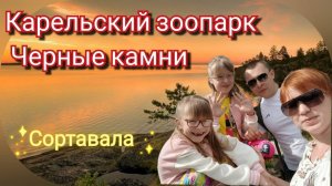 Карельский зоопарк Черные камни Сортавала.  Животные мы идём к Вам. #сезонконтентаRUTUBE