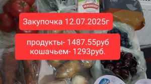 Закупочка нам продукты- 1487.55руб и в кошачьем магазине- 1293руб.