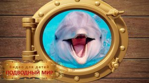 Подводный мир.