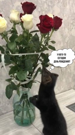 С Днем рождения тебя!!!