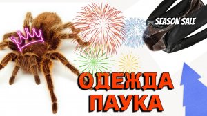 Как линяет паук птицеед. #сезонконтентаRUTUBE