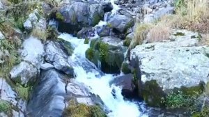 ЗВУКИ ПРИРОДЫ Журчание воды пение птиц ШУМ ГОРНОГО ВОДОПАДА РЕКИ