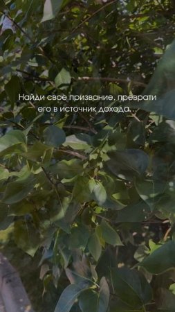 ПОДПИСАТЬСЯ на ASTERICA это всё что тебе необходимо сделать прямо сейчас 🙌🏻