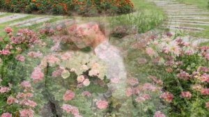 255.=Цветы земли=.Ст.А.Зенцов,муз.и вокал Н Жуков,монтаж В Зубкова.