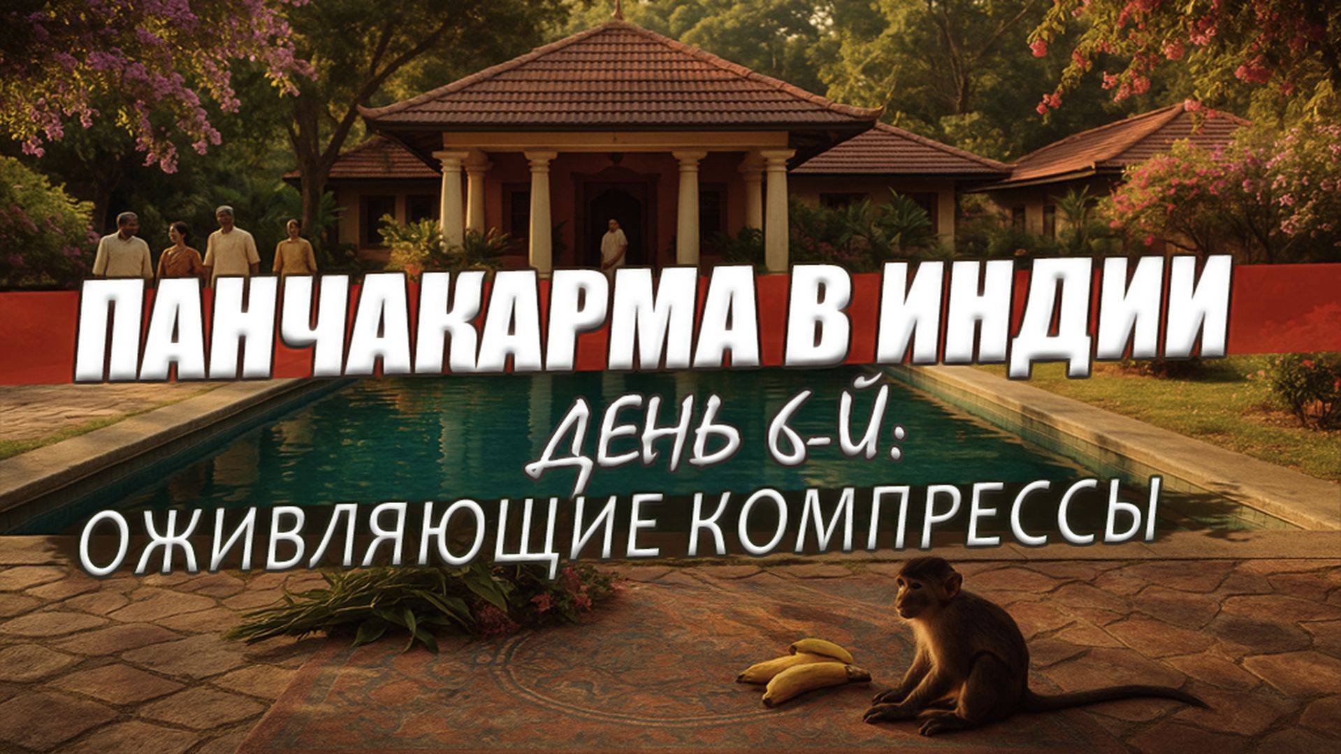 Дневник панчакармы | День 6-й: массаж ПИЧУ | Документы для ввоза препаратов в Россию