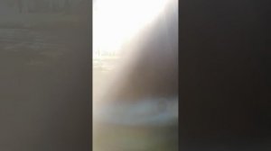 Праздник семьи и любви в парке из-за забора