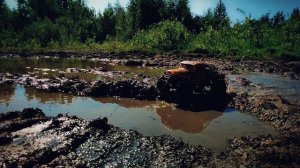 Летний отрыв на офф-роуде RGT Challenger