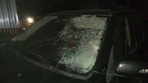 СБИЛ ЛОСЯ на ТРАССЕ,ВОССТАНОВЛЕНИЕ АВТО