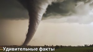 🎥 Торнадо – ярость природы в действии! 🌪️🔥