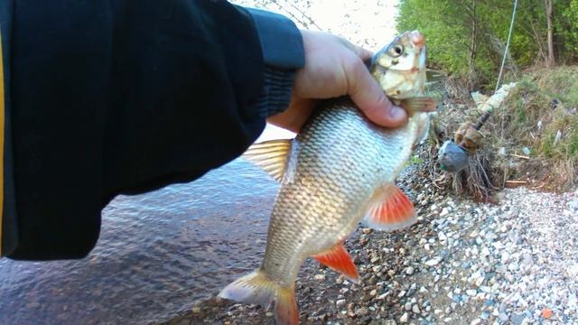 Язь на сало. смотреть онлайн