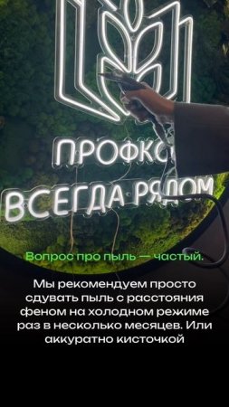 Уход за стабилизированным мхом