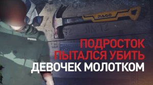 В Домодедово подросток пытался убить молотком двух девочек