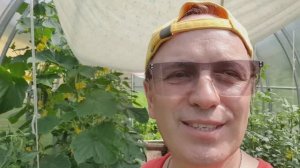 Век живи, век учись..
