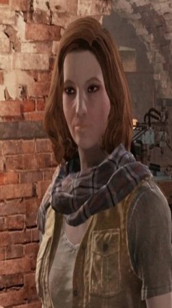 Коммутатор. Fallout 4.