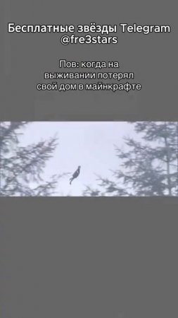 @fre3stars Бесплатные звезды и подарки телеграм #мемы #приколы #ржака #звезды #подарки #телеграм #тг