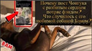 Чонгук остался в нерешительности. Но  оставался вопрос, болен ли Бам?/ОЗВУЧКА TANIY/