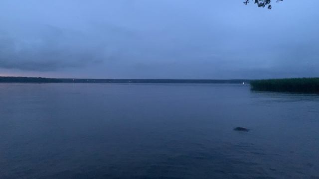 СПБ. В Прибылово полный штиль 05.07.2025