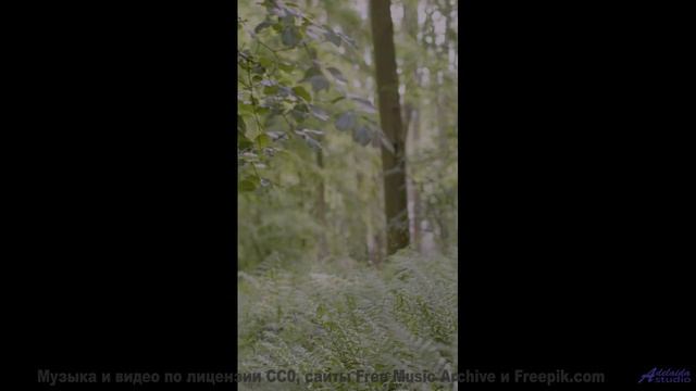 Это видео НЕ ДЛЯ СЛАБАКОВ! - Tragedy Waiting To Happen -- HoliznaCC0 -- Horseless Headman ( Hallowee