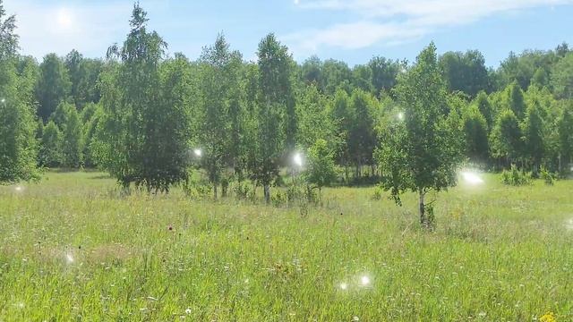 мы пенсионеры смотреть онлайн