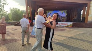 Клён зелёный.... 13.07.25.